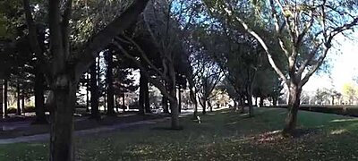 Star Wars "speeder bike" sikló drón