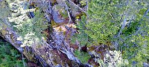 Lumia-val a kanadai vadonon át