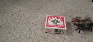 Villámgyorsan szalad a kereket a lábbal ötvöző robotrovar