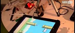 Nem tud kifogni a játék a Flappy Bird-öt játszó roboton