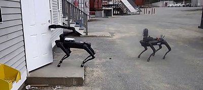 Robotkutyákat állít szolgálatba a rendőrség az USA-ban