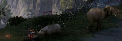 Nagyon durva dolgokat tudnak csinálni az állatok a Far Cry 4-ben