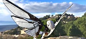 Itt a drón, amit simán össze lehet téveszteni egy madárral