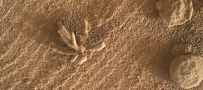 Furcsa, virág alakú valamit talált a Curiosity marsjáró a vörös bolygón