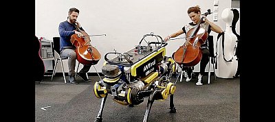Elveszi a partikirályok munkáját a hátsóját ütemesen lengető robotkutya