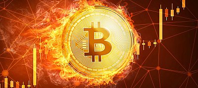 Már a Tesla sem hisz a Bitcoin-ban, el is adta nagy részét annak, ami volt neki
