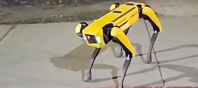 Utcán kóborló robotkutyát filmeztek Kanadában