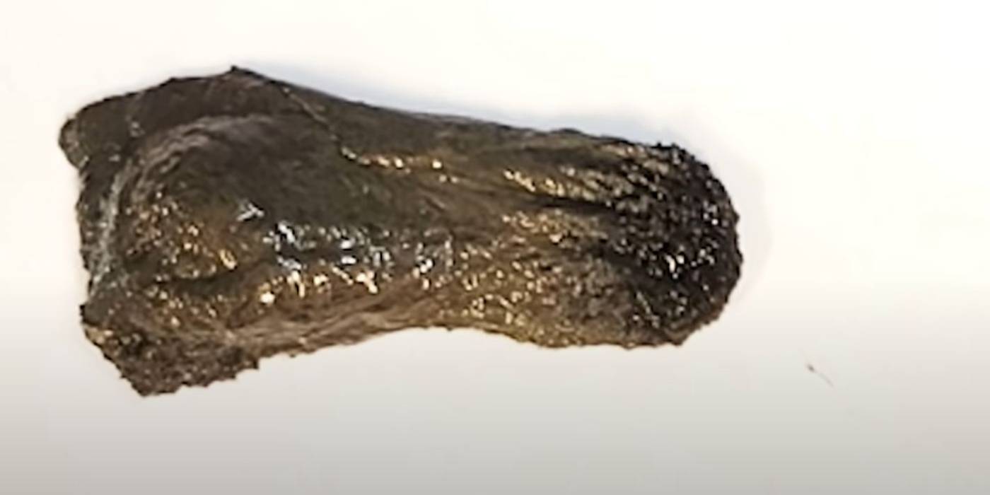 Itt a folyékony trutymórobot, amit lenyeletnének velünk a tudósok