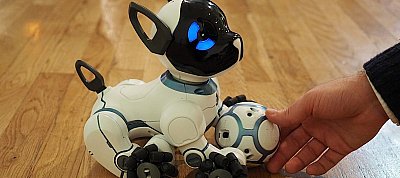Labdázni is lehet az új, intelligens robotkutyával