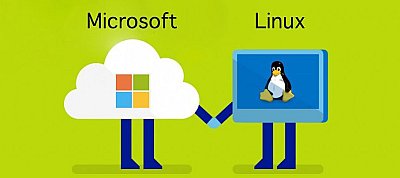 Microsoft: Már nálunk is népszerűbb a Linux a Windows-nál