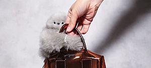 Itt a mesterséges intelligenciás robot, ami úgy viselkedik, mint egy kisállat