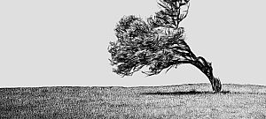 Ember által alkotottnak tűnő képeket fest a robot