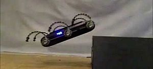 Ugrásokkal közlekedik a robotbolha