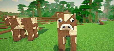 Napi humor: Minecraft OCD Song