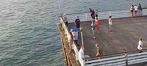 Napi humor: Így foghatunk egy drónt magunknak