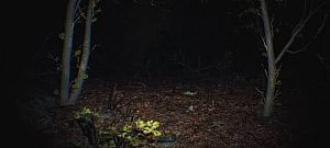 Itt egy horrorjáték előzetese, aminek megnézése csak erős idegzettel javasolt