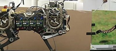 Az embereket már simán utoléri az amerikai hadsereg robotgepárdja