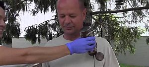 Vízállóvá lehet tenni bármit egy egyszerű spray-vel