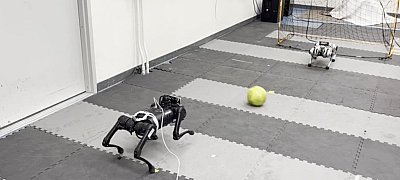 Videó mutatja milyen komolyan tudnak focizni a robotikus minigepárdok