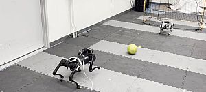 Videó mutatja milyen komolyan tudnak focizni a robotikus minigepárdok