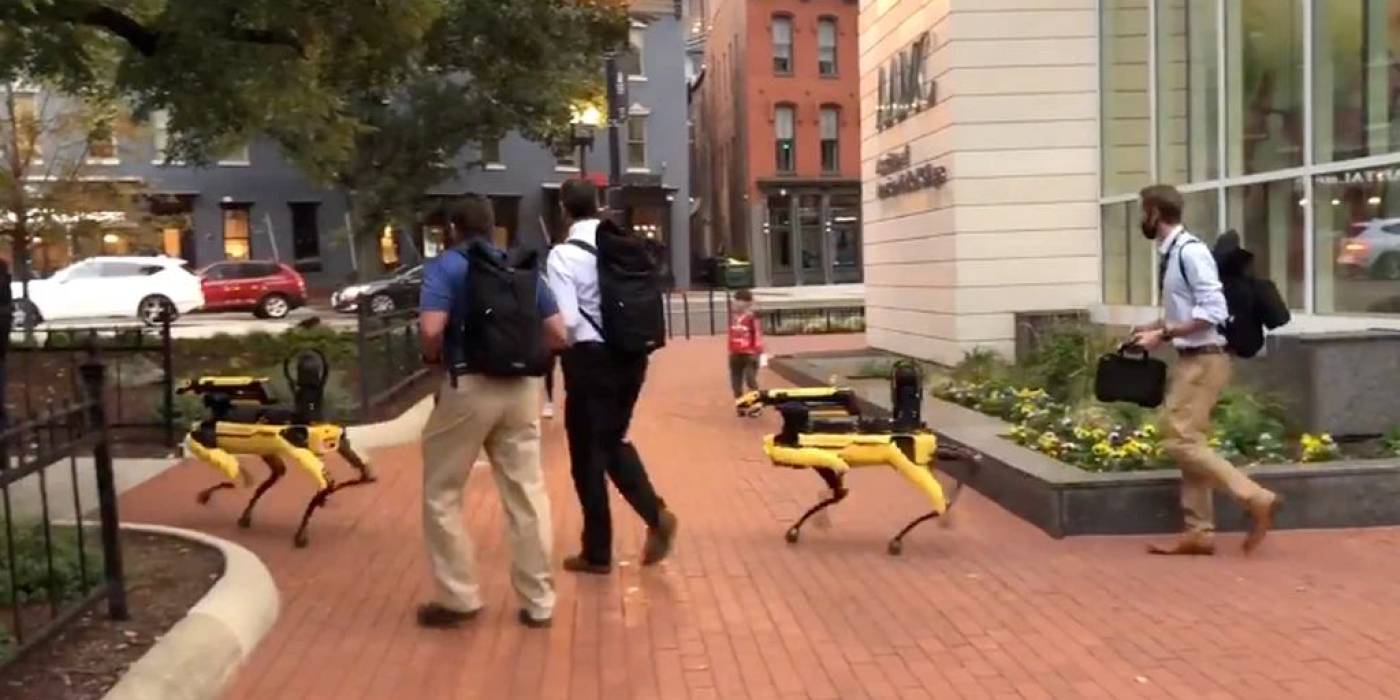 Videó: Sétálni vitte robotkutyáit a Boston Dynamics Washington belvárosában