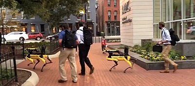 Videó: Sétálni vitték robotkutyáikat a Boston Dynamics munkatársai Washington belvárosában