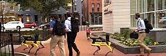 Videó: Sétálni vitték robotkutyáikat a Boston Dynamics munkatársai Washington belvárosában
