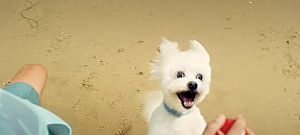 Képszerkesztő funkciókat kapott a Google+ fotótára