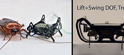 Villámgyorsan képes szaladni az érme méretű csótányrobot
