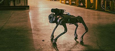Robotkutyát fog használni a sugárzás "kiszimatolására" a CERN