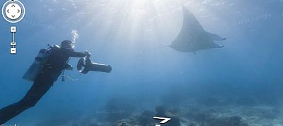 Már a halakkal is úszhatunk a Google Street View-ban