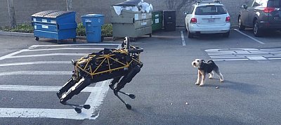 Így reagál egy hús-vér kutya ha meglátja robotikus társát