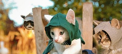 Napi humor: Assassin's Kittens Unity