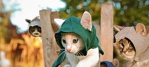 Napi humor: Assassin's Kittens Unity