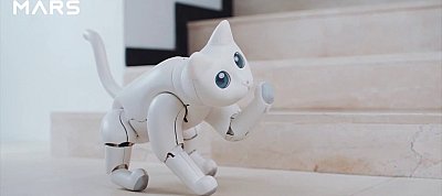 A robotkutyák után jön a világ első bionikus robotmacskája is