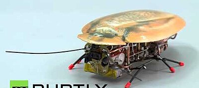 Hihetetlenül élethű robotcsótányt készítettek az oroszok