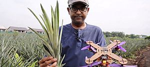 Nem hiszed el: Ananászból építettek röpülni képes drónt a malájok