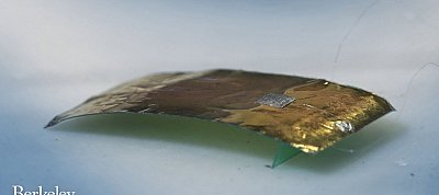 Megcsinálták a csótányrobotot, amit az igazihoz hasonlóan nem lehet eltaposni