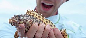 Vízben úszik és halakra vadászik az új horgászdrón