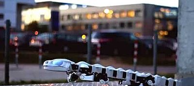 Hátborzongatóan élethű szalamandra-robotot építettek