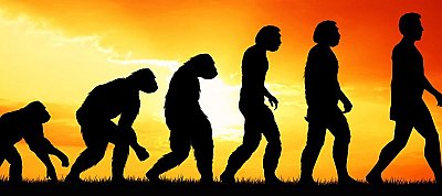 Napi humor: A mobil-felhasználók evolúciója