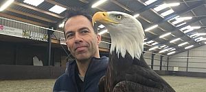 Sasokkal fognák el a törvénysértő drónokat a hollandok